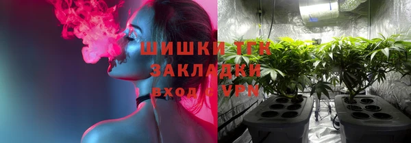 винт Абаза