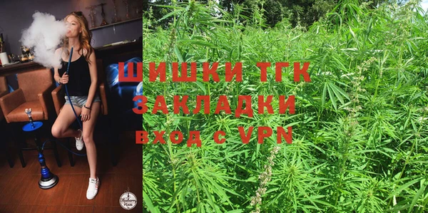 винт Абаза