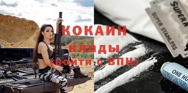 винт Абаза