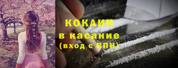 винт Абаза