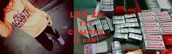спиды Абинск
