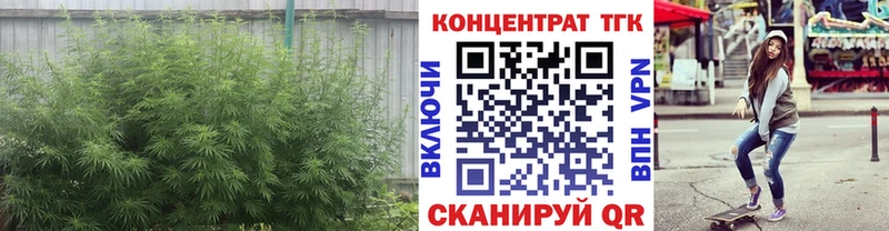 кракен вход  сколько стоит  Калачинск  Дистиллят ТГК Wax 