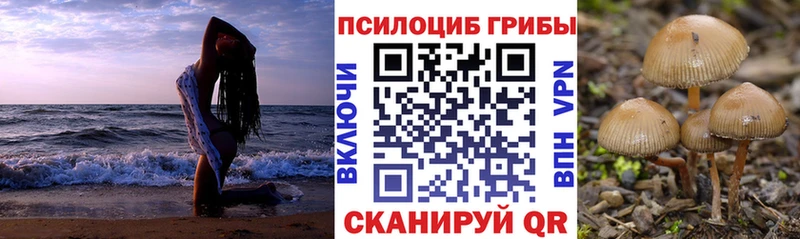 Псилоцибиновые грибы GOLDEN TEACHER  hydra tor  Калачинск  цены  